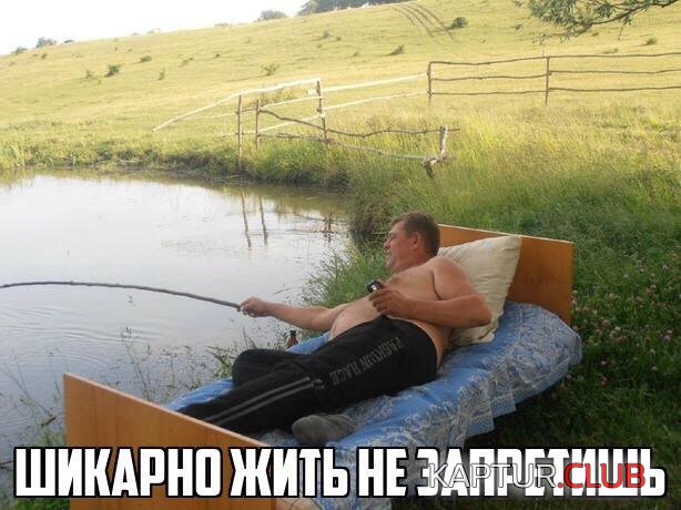 0.jpg | Рено Каптур Клуб Россия | Форум KAPTUR.SU