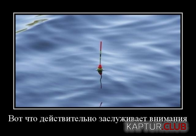 0.jpg | Рено Каптур Клуб Россия | Форум KAPTUR.SU