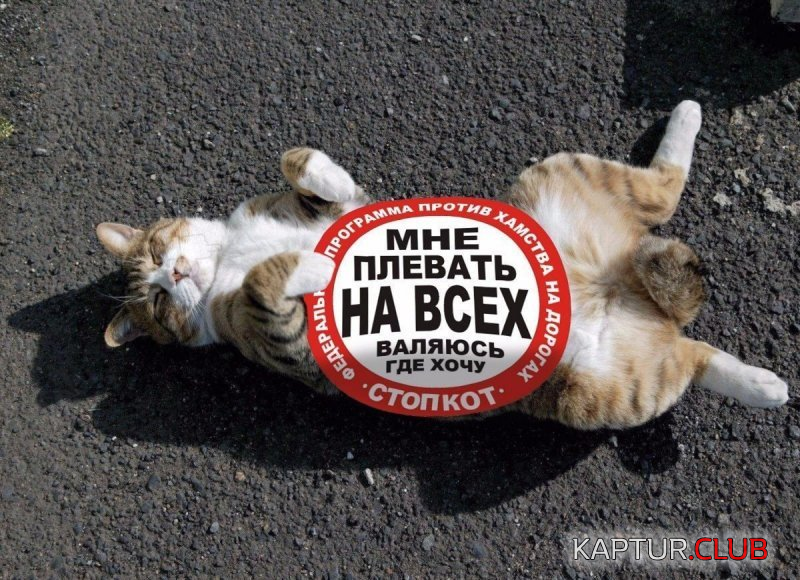 0.png | Рено Каптур Клуб Россия | Форум KAPTUR.SU