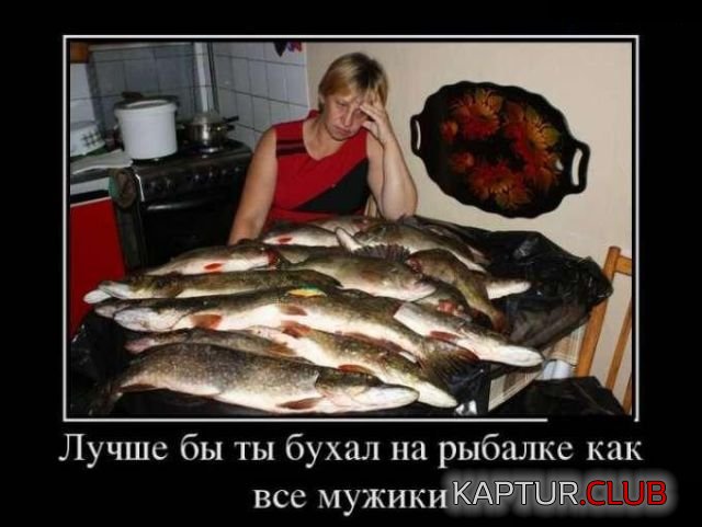 00.jpg | Рено Каптур Клуб Россия | Форум KAPTUR.SU