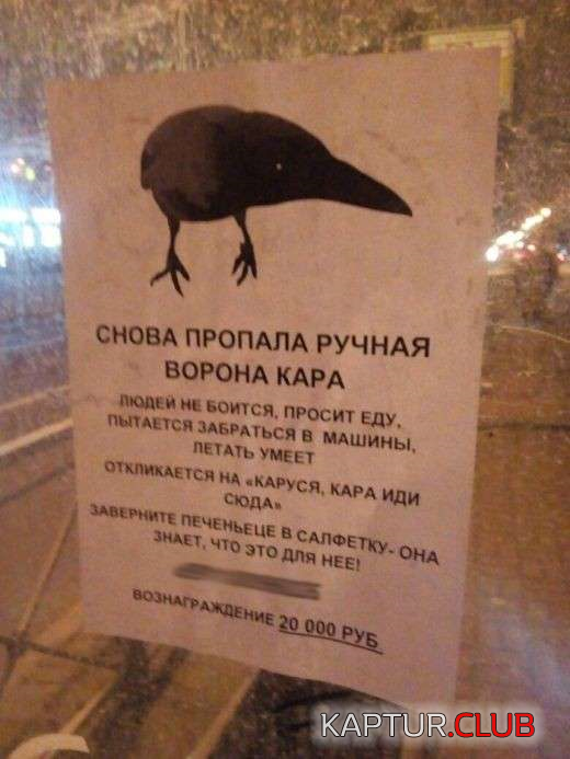 00.png | Рено Каптур Клуб Россия | Форум KAPTUR.SU