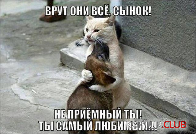 00.png | Рено Каптур Клуб Россия | Форум KAPTUR.SU