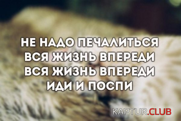 00.png | Рено Каптур Клуб Россия | Форум KAPTUR.SU