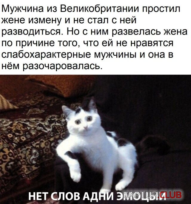 000.jpg | Рено Каптур Клуб Россия | Форум KAPTUR.SU