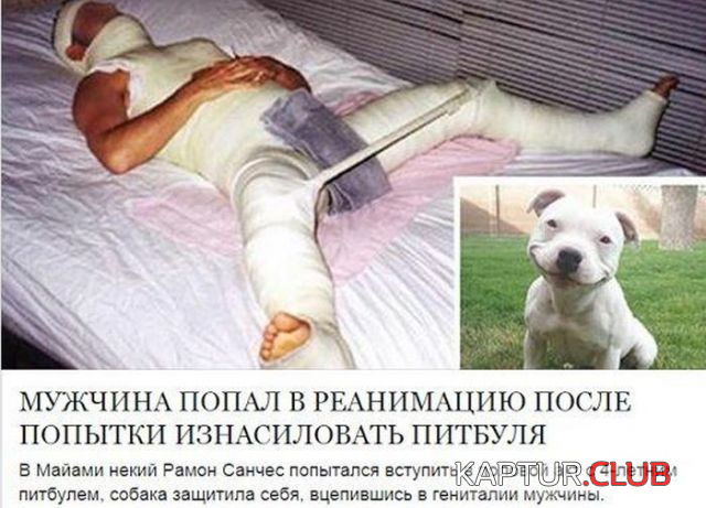 000.png | Рено Каптур Клуб Россия | Форум KAPTUR.SU