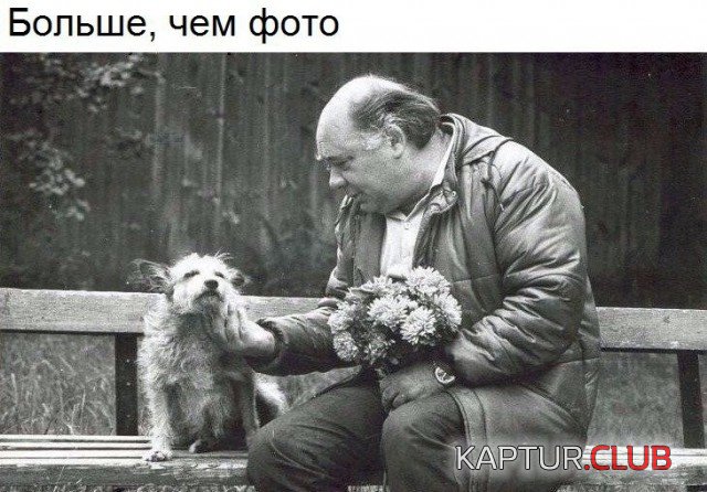0000.jpg | Рено Каптур Клуб Россия | Форум KAPTUR.SU