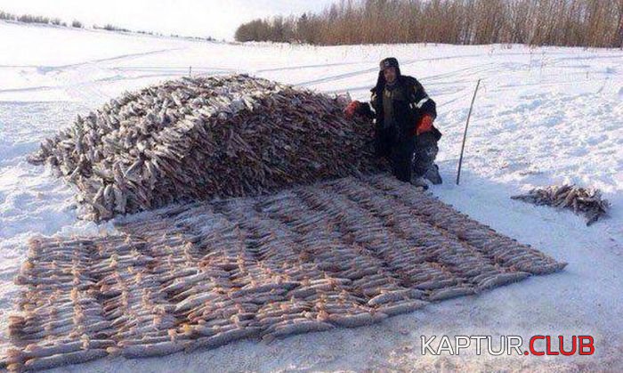 00000.png | Рено Каптур Клуб Россия | Форум KAPTUR.SU