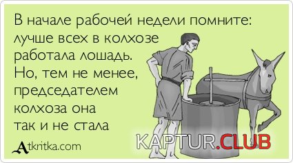 005679eb6e45466b0fe5685e371.jpg | Рено Каптур Клуб Россия | Форум KAPTUR.SU