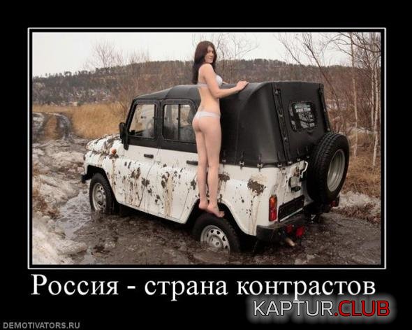 0128dcf2d5ee456ca11c9e674f7_prev.jpg | Рено Каптур Клуб Россия | Форум KAPTUR.SU