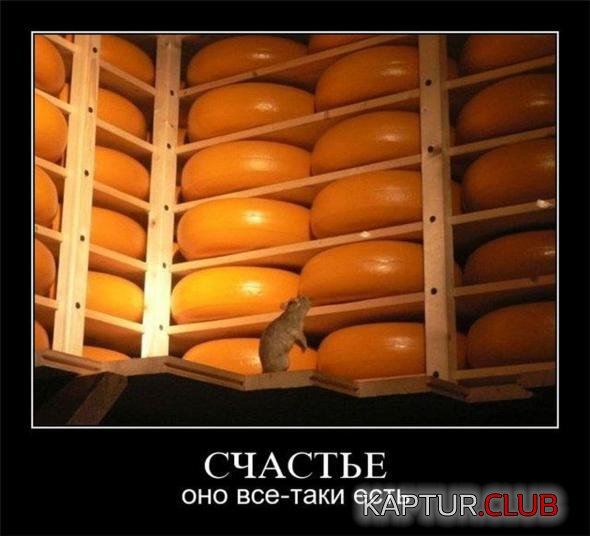 01576bdf2ada8fdf3cb7ffdf031_prev.jpg | Рено Каптур Клуб Россия | Форум KAPTUR.SU