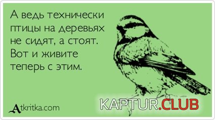 0162c9b7f6b05ebc91111ea4187.jpg | Рено Каптур Клуб Россия | Форум KAPTUR.SU