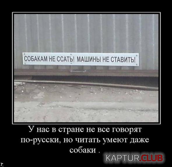 01d8a7ef79d1fee19a57d816e52_prev.jpg | Рено Каптур Клуб Россия | Форум KAPTUR.SU
