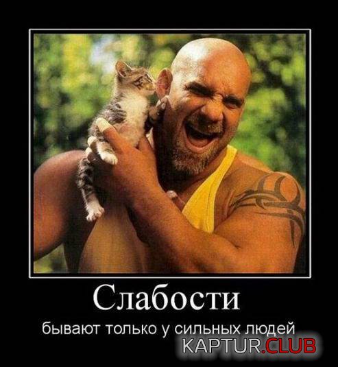 01f23cfacf4224f452f3f8fa82b.jpg | Рено Каптур Клуб Россия | Форум KAPTUR.SU