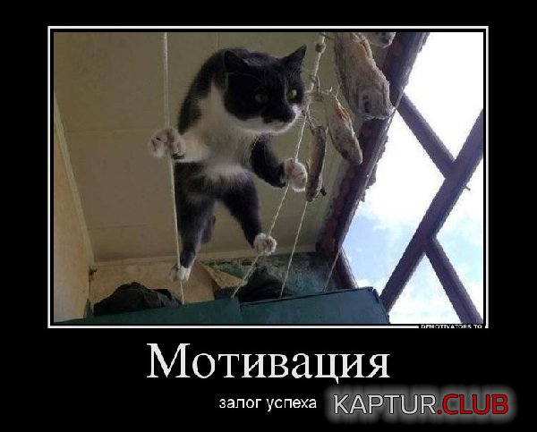 020913.jpg | Рено Каптур Клуб Россия | Форум KAPTUR.SU