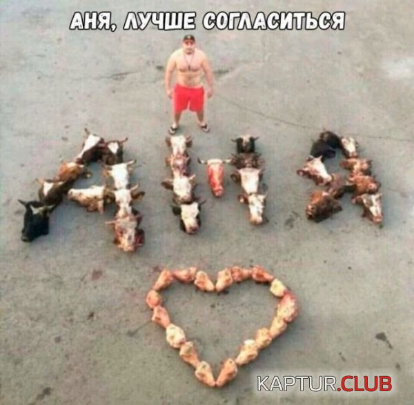 0272954110f1ac8e2e25ad0fd2f.jpg | Рено Каптур Клуб Россия | Форум KAPTUR.SU