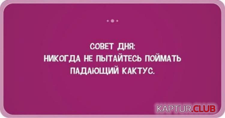 029c94135e45cfeb19c8eff6c80.jpg | Рено Каптур Клуб Россия | Форум KAPTUR.SU