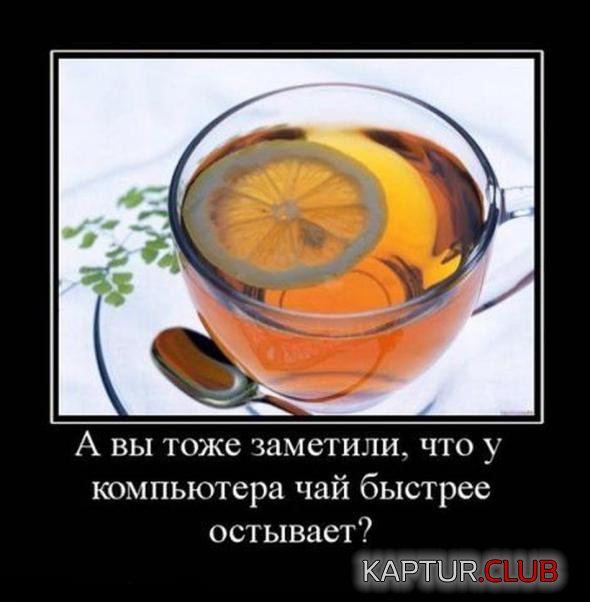 02b443ca56d4cb55aa559ef468d_prev.jpg | Рено Каптур Клуб Россия | Форум KAPTUR.SU
