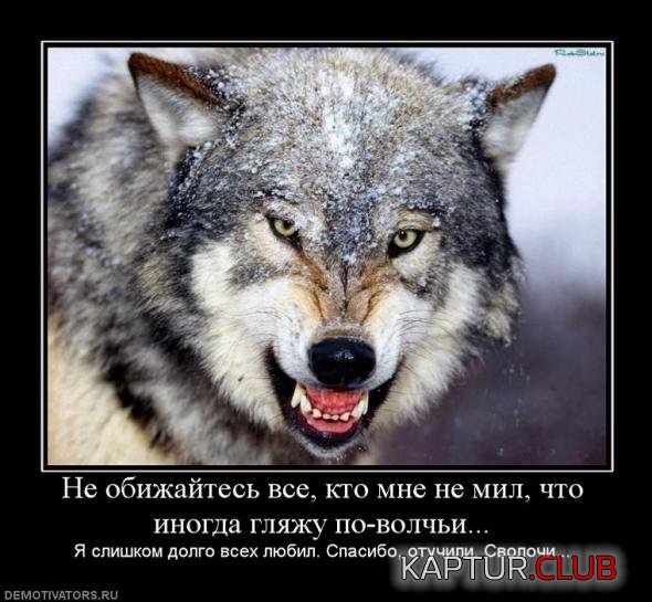 02bad05ecb5dc31ac8361eba6e4_prev.jpg | Рено Каптур Клуб Россия | Форум KAPTUR.SU