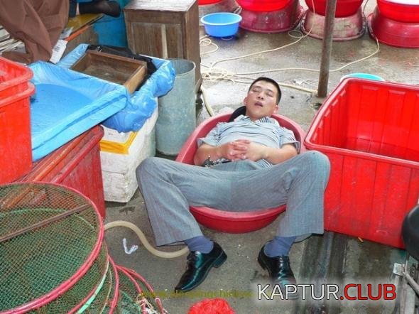 02c40c7c32009b3ded15f2a104e_prev.jpg | Рено Каптур Клуб Россия | Форум KAPTUR.SU