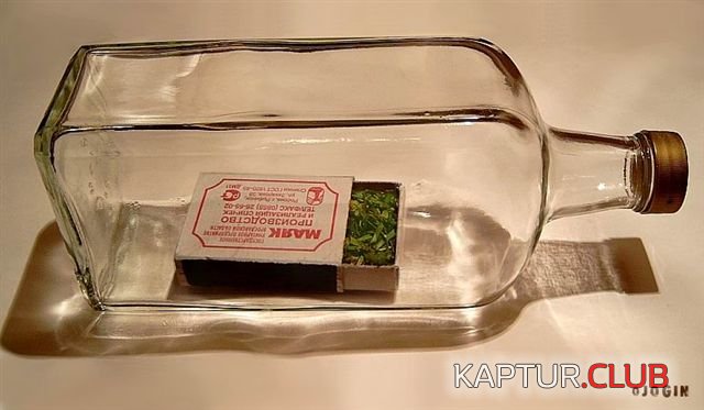 032.JPG | Рено Каптур Клуб Россия | Форум KAPTUR.SU