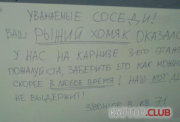 032d964b0ef903da4dcfe0107bf_prev.jpg | Рено Каптур Клуб Россия | Форум KAPTUR.SU