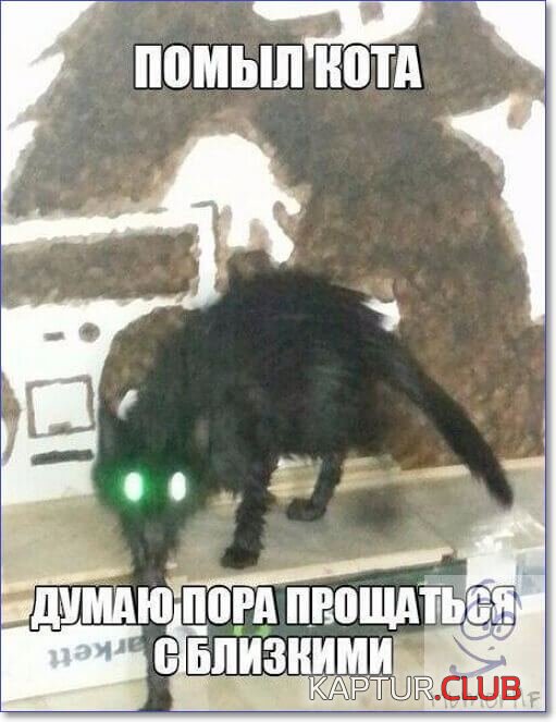 03586a6b43d1e03a53233a16fd0.jpg | Рено Каптур Клуб Россия | Форум KAPTUR.SU