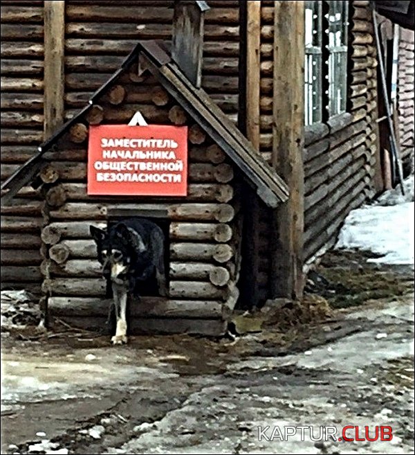 037df9dff7ca2b86afd0812850b.jpg | Рено Каптур Клуб Россия | Форум KAPTUR.SU