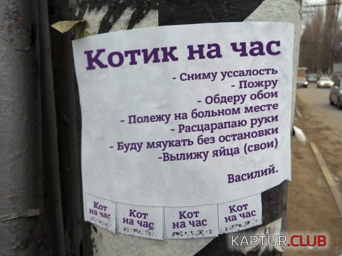 03c24cd3e96184bc044613e83c4.jpg | Рено Каптур Клуб Россия | Форум KAPTUR.SU