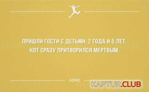 03cb9fa30030106ddb29c08432f_prev.jpg | Рено Каптур Клуб Россия | Форум KAPTUR.SU