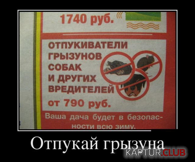 042d6f3e2dad1846cad2653218d.jpg | Рено Каптур Клуб Россия | Форум KAPTUR.SU