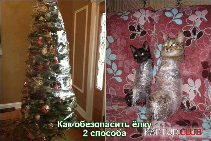 043a8257314e88a25b1eeafafdc.jpg | Рено Каптур Клуб Россия | Форум KAPTUR.SU