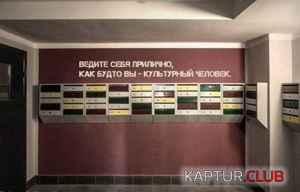 04ffa0ee069e868116ff9389137.jpg | Рено Каптур Клуб Россия | Форум KAPTUR.SU