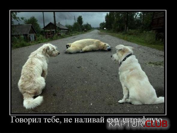 051c235a581644f984fc01efa0f_prev.jpg | Рено Каптур Клуб Россия | Форум KAPTUR.SU