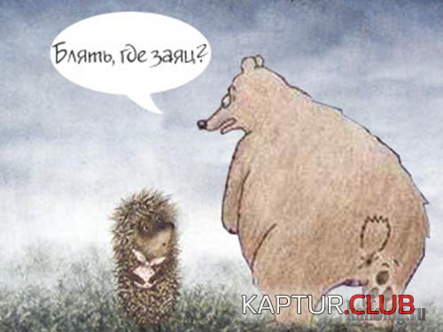 053134a9889b.jpg | Рено Каптур Клуб Россия | Форум KAPTUR.SU