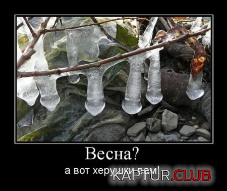 05e59dbf4b56f89d5f3f1443dd8.jpg | Рено Каптур Клуб Россия | Форум KAPTUR.SU