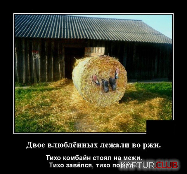 06ad5038d1f459246c6e7221257.jpg | Рено Каптур Клуб Россия | Форум KAPTUR.SU