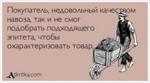 06ebaf12cec7bac35246807c653.jpg | Рено Каптур Клуб Россия | Форум KAPTUR.SU