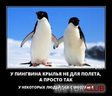 070218-1.jpg | Рено Каптур Клуб Россия | Форум KAPTUR.SU