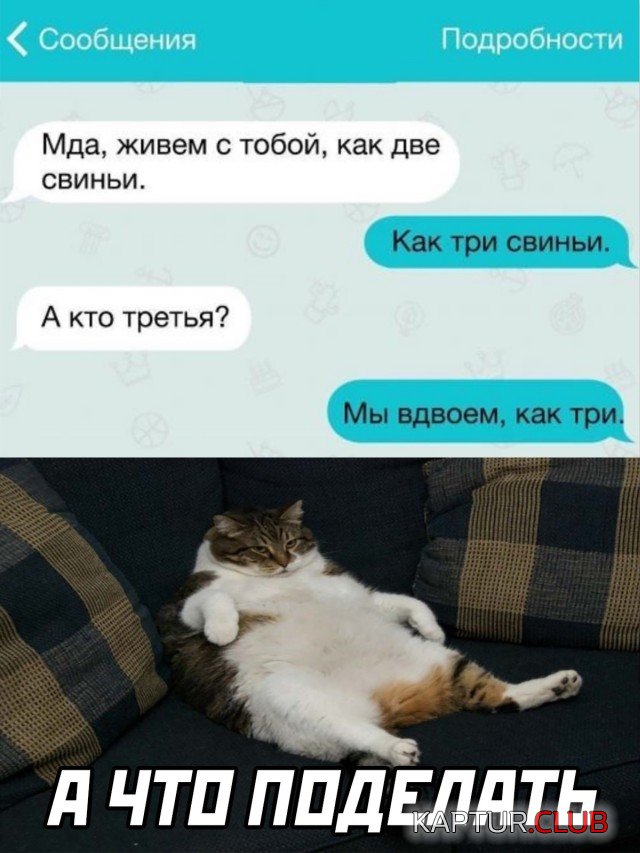 071.jpg | Рено Каптур Клуб Россия | Форум KAPTUR.SU