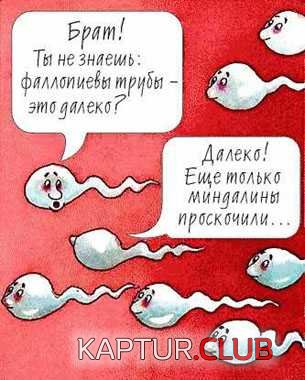 079.JPG | Рено Каптур Клуб Россия | Форум KAPTUR.SU