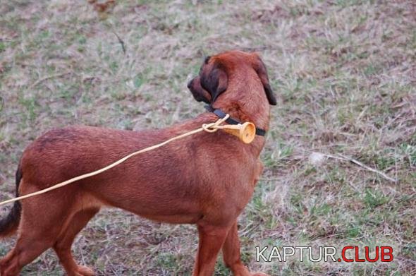 07c25bfdf5553720827d36e9b13_prev.jpg | Рено Каптур Клуб Россия | Форум KAPTUR.SU