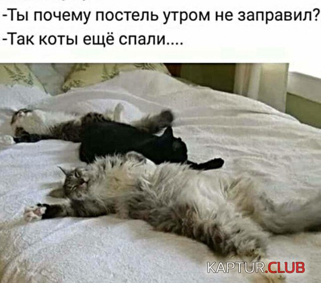 07ce765bc554133ba0386ce24d4.jpg | Рено Каптур Клуб Россия | Форум KAPTUR.SU