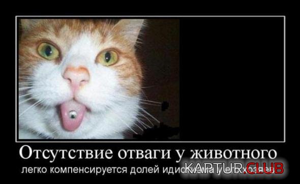 07e7c9b826e4d3d946d6d38f594_prev.jpg | Рено Каптур Клуб Россия | Форум KAPTUR.SU