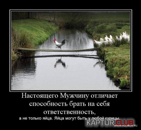 084613bac9419742da54454ea00_prev.jpg | Рено Каптур Клуб Россия | Форум KAPTUR.SU