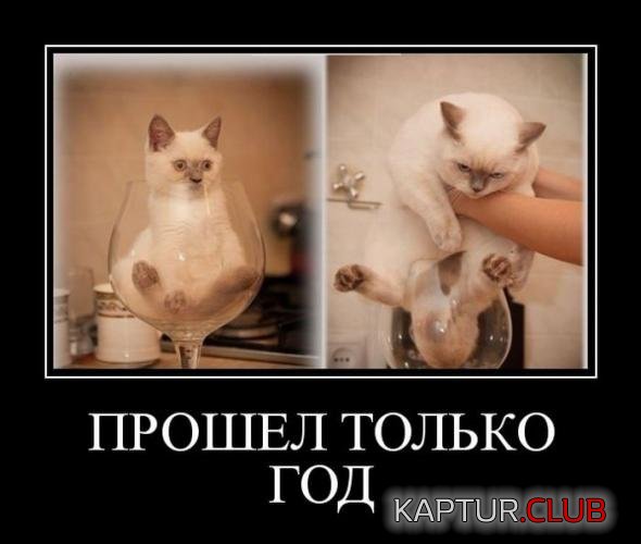 085db3d4394409891be77c62a79_prev.jpg | Рено Каптур Клуб Россия | Форум KAPTUR.SU