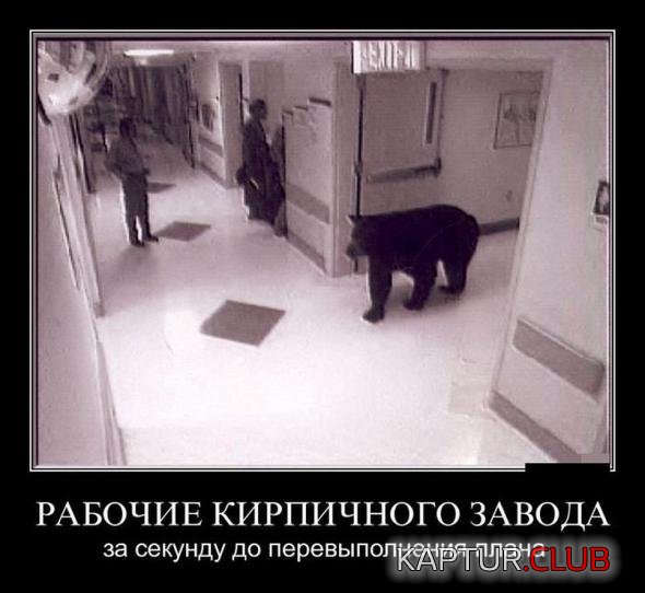 085e17f03cfde03f11fce9ad891_prev.jpg | Рено Каптур Клуб Россия | Форум KAPTUR.SU