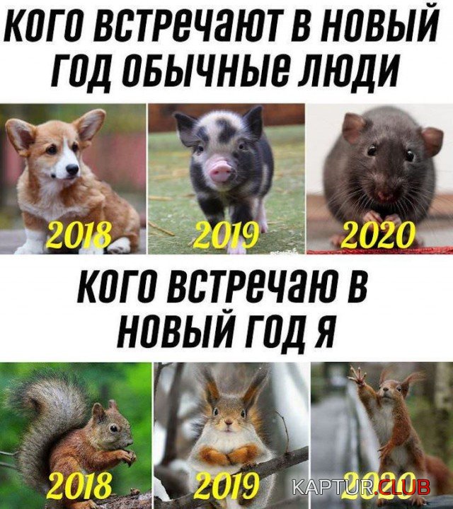 086.jpg | Рено Каптур Клуб Россия | Форум KAPTUR.SU