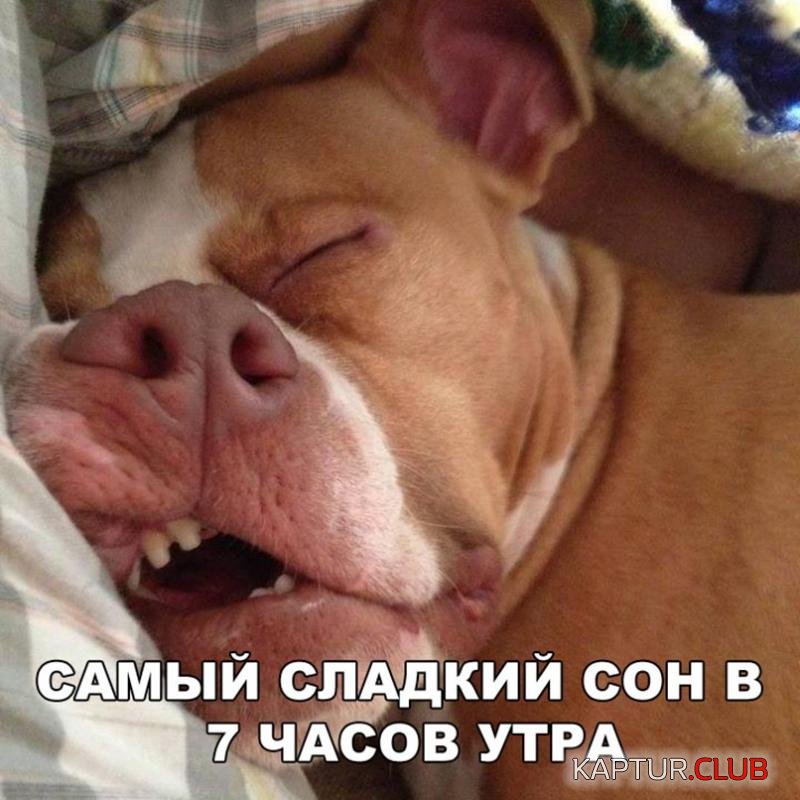 086ffc69284b0efe575d5c6ff98_prev.jpg | Рено Каптур Клуб Россия | Форум KAPTUR.SU