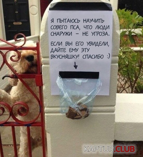 088b43c9386b5bb6eb58810c64b.jpg | Рено Каптур Клуб Россия | Форум KAPTUR.SU