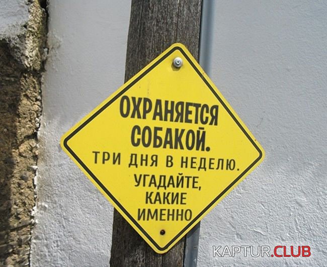 08e7fc6c3ea382daa0b668fdec4.jpg | Рено Каптур Клуб Россия | Форум KAPTUR.SU
